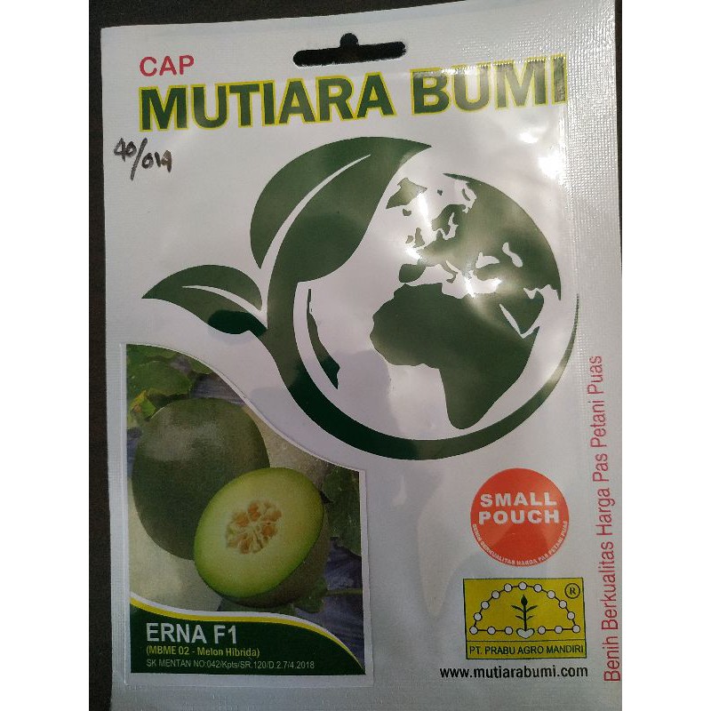 Benih Melon Erna F1 40 btr Mutiara Bumi