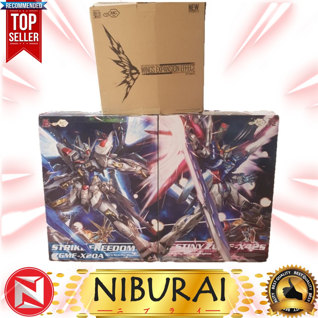 1/100 Dragon Momoko Dramok DM MG Destiny Strike Freedom Wing of Light