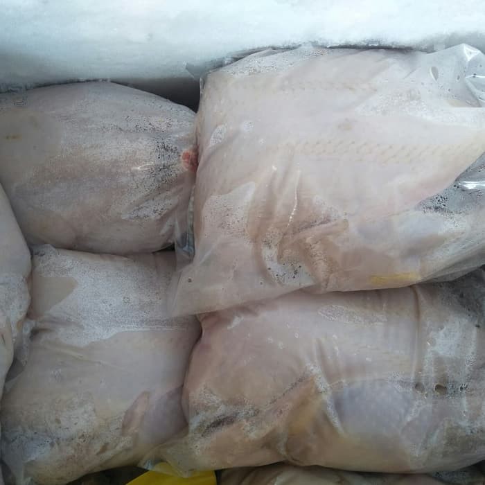 Grosir Ayam Boiler Utuh Fresh Frozen Murah