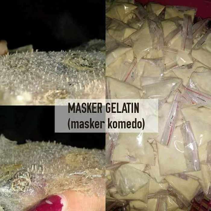 GELATIN / MASKER KOMEDO GELATIN