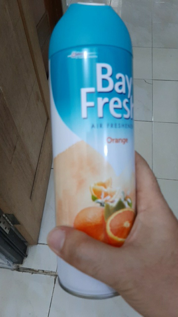 Bayfresh Aerosol Orange 320 Ml