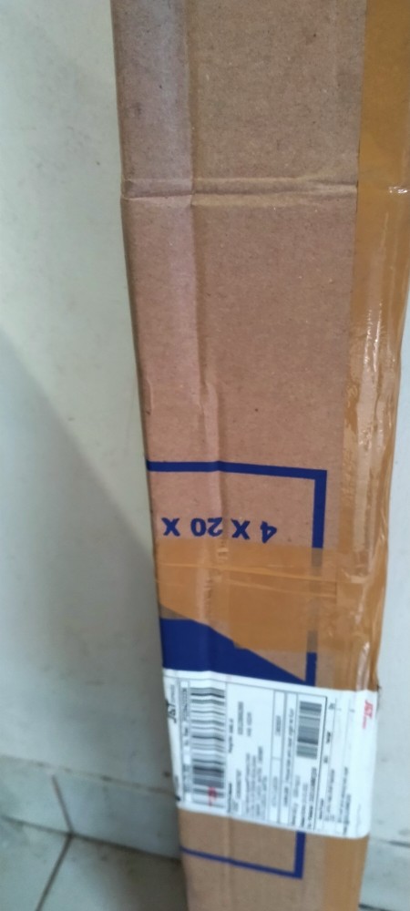 Beli 2 Gratis 1 Bibit Buah Jeruk Santang Madu Super