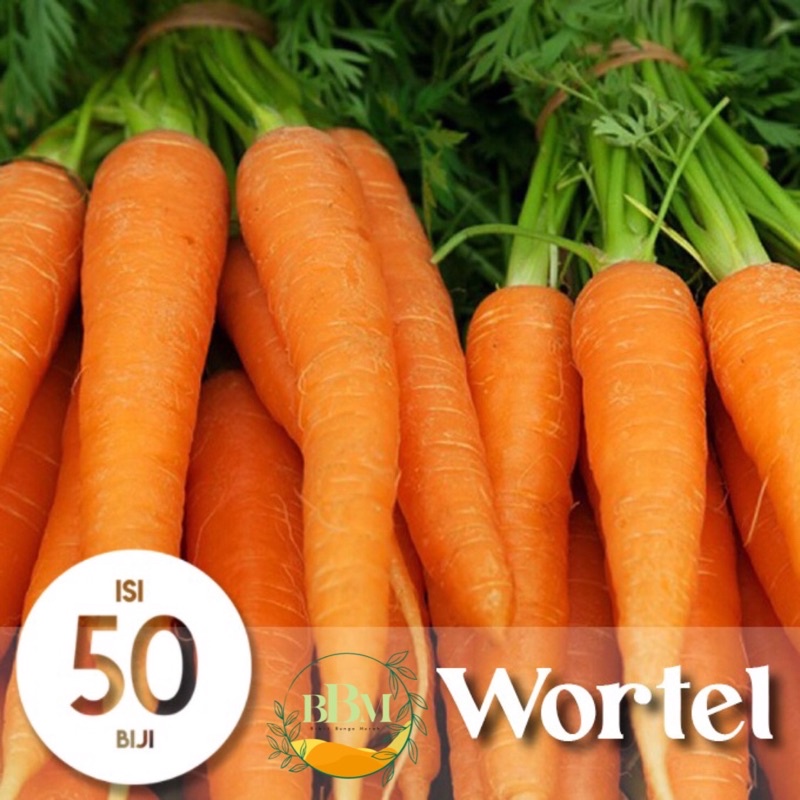 Benih Biji Sayur Wortel