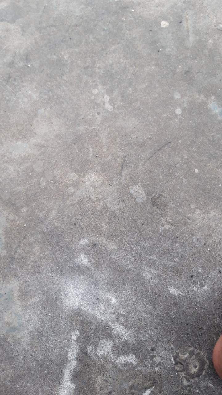 Hiasandinding/rohani/kristen/katolik/bibleverse/posterkayu