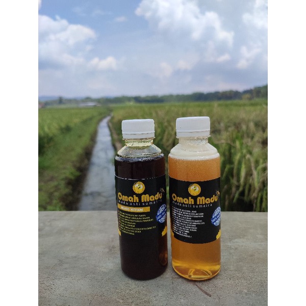

Madu Pahit dan manis || Omah Madu || Madu Asli Sumatera