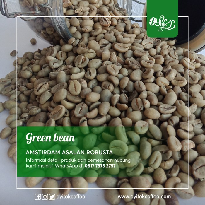 Green Bean Robusta Amstirdam Grade Asalan Asli Sumbertangkil Dampit