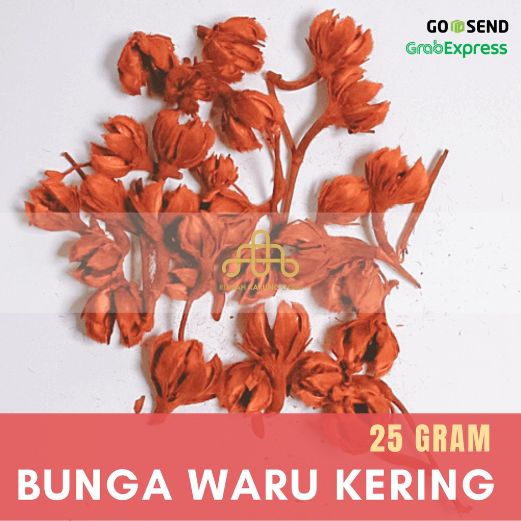Properti Foto – Hiasan Mahar – Bunga Waru Kering