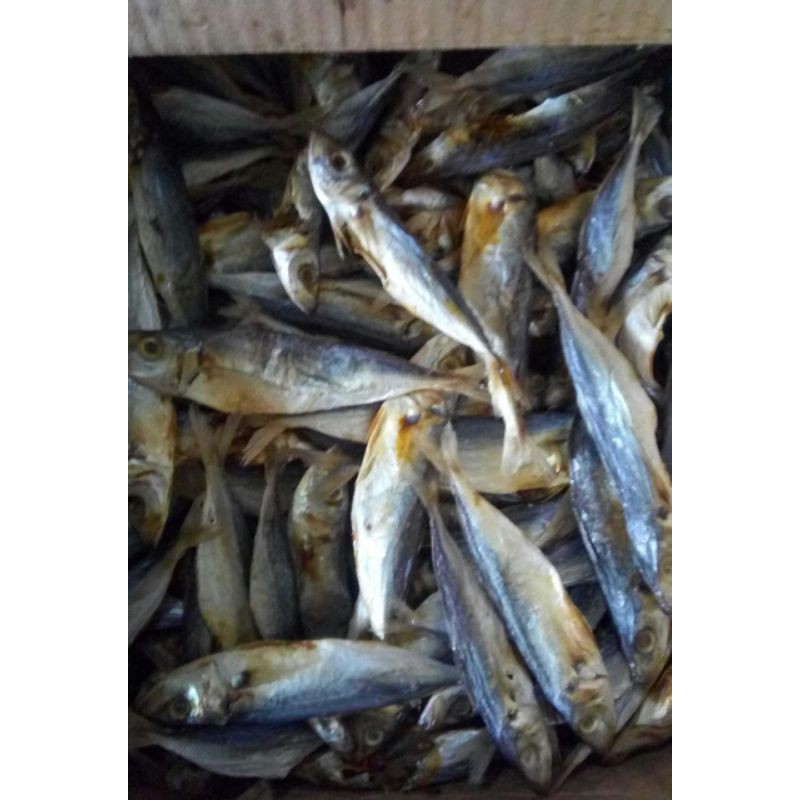 

Klotok Joss 500 gram