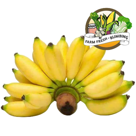 

Pisang Lampung 1 Sisir