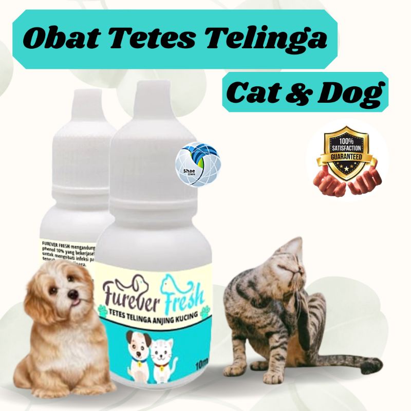 obat Tetes Telinga Earmites-Kutu dan Infeksi Telinga Hewan Kucing dan Anjing