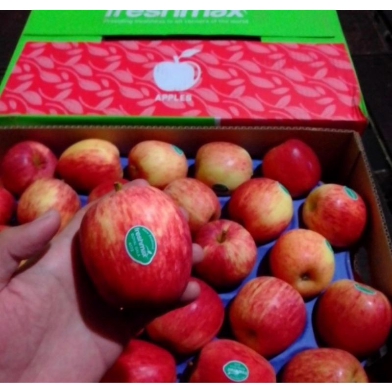 

Buah apel royal gala new Zealand import 1 dus