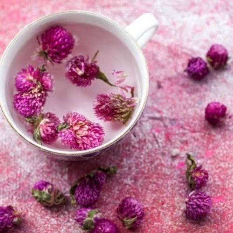 

Globe amaranth / Bunga Kenop Herbal Tea 50 g, 100 g (MURAH!!!)