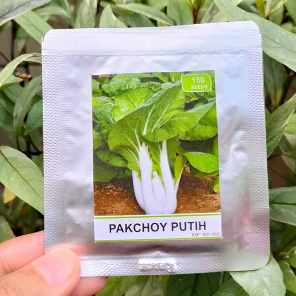 benih sayur - benih buah - benih sayuran - benih tomat - benih cabe - benih selada - benih bayam - benih terong - benih pakchoy -RS-pakchoy putih