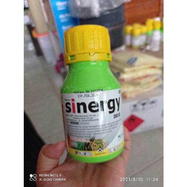 Sinergy 300 EC 250ML