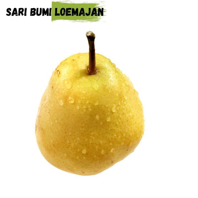 

sari bumi loemajan buah pear yali atau white pear 1kg