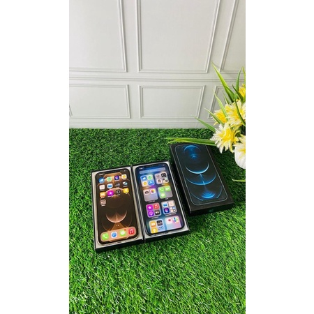 iPhone 12 Pro Max 256Gb Original