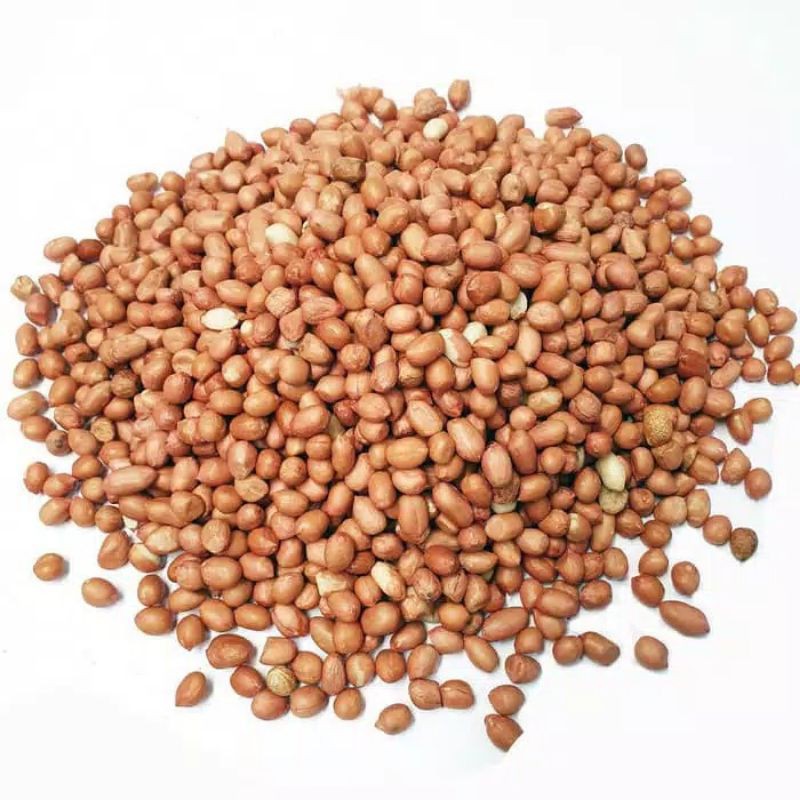 

KACANG TANAH MENTAH 500 GRAM