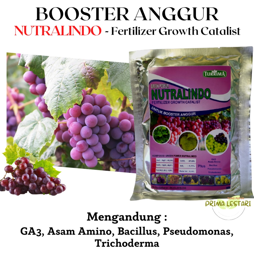 Pupuk Perangsang Buah Anggur, Pupuk Anggur Generatif, Booster Anggur Diluar Musim, Pupuk Anggur Berb