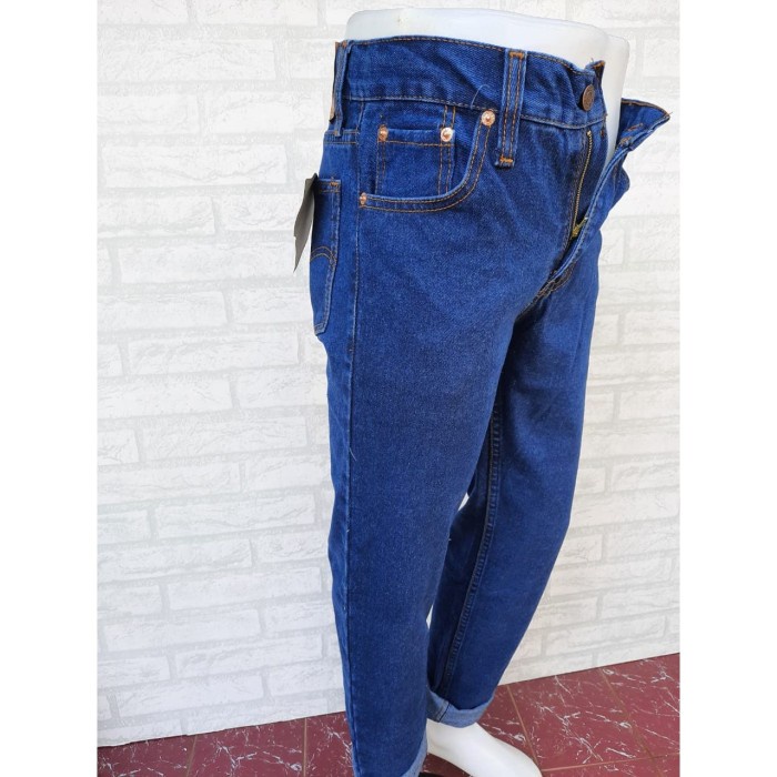 e0101vd Celana Jeans Pria Panjang Levis/ Standar Jeans/ Jeans Levis R0V501