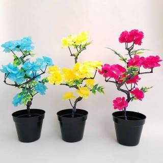 Bonsai Sakura Tabebuya Surabaya artificial Shopee Indonesia Bonsai Sakura Tabebuya Surabaya artificial Shopee Indonesia