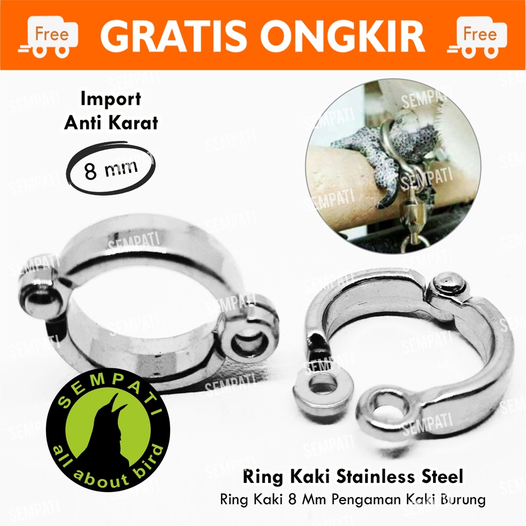 RING BORGOL RING KAKI BURUNG 8 MM 8MM GELANG CINCIN STAINLESS STEEL MERPATI NURI SUN CONURE RCG8MM