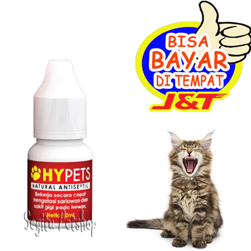 Obat Sariawan Bau Mulut Kucing Anjing Hypets Shopee Indonesia