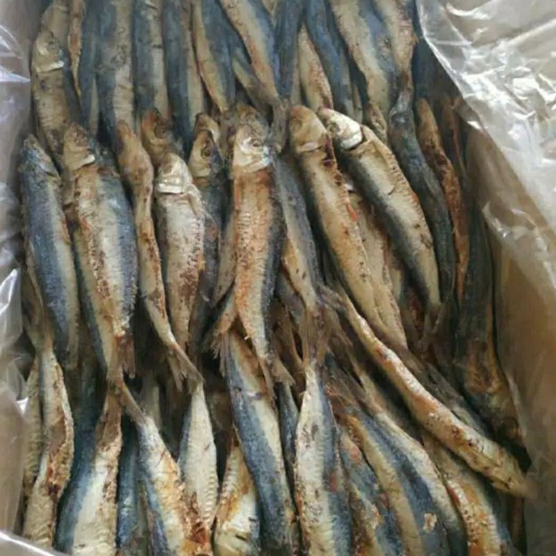 

ikan asin japuh 250 gram