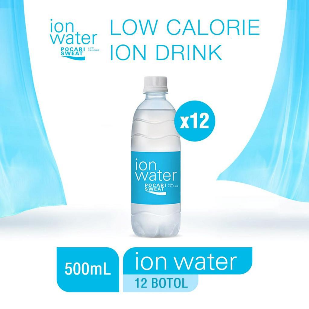 Ion Water 500 ml x 12 Pieces