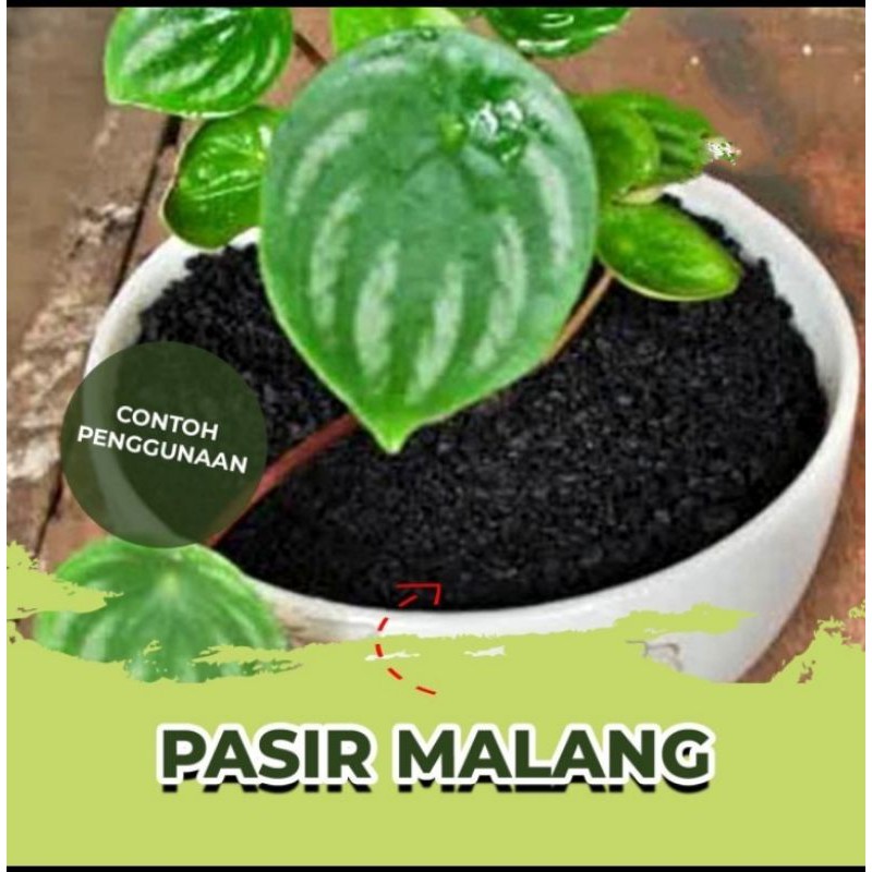 Pasir Malang Karungan