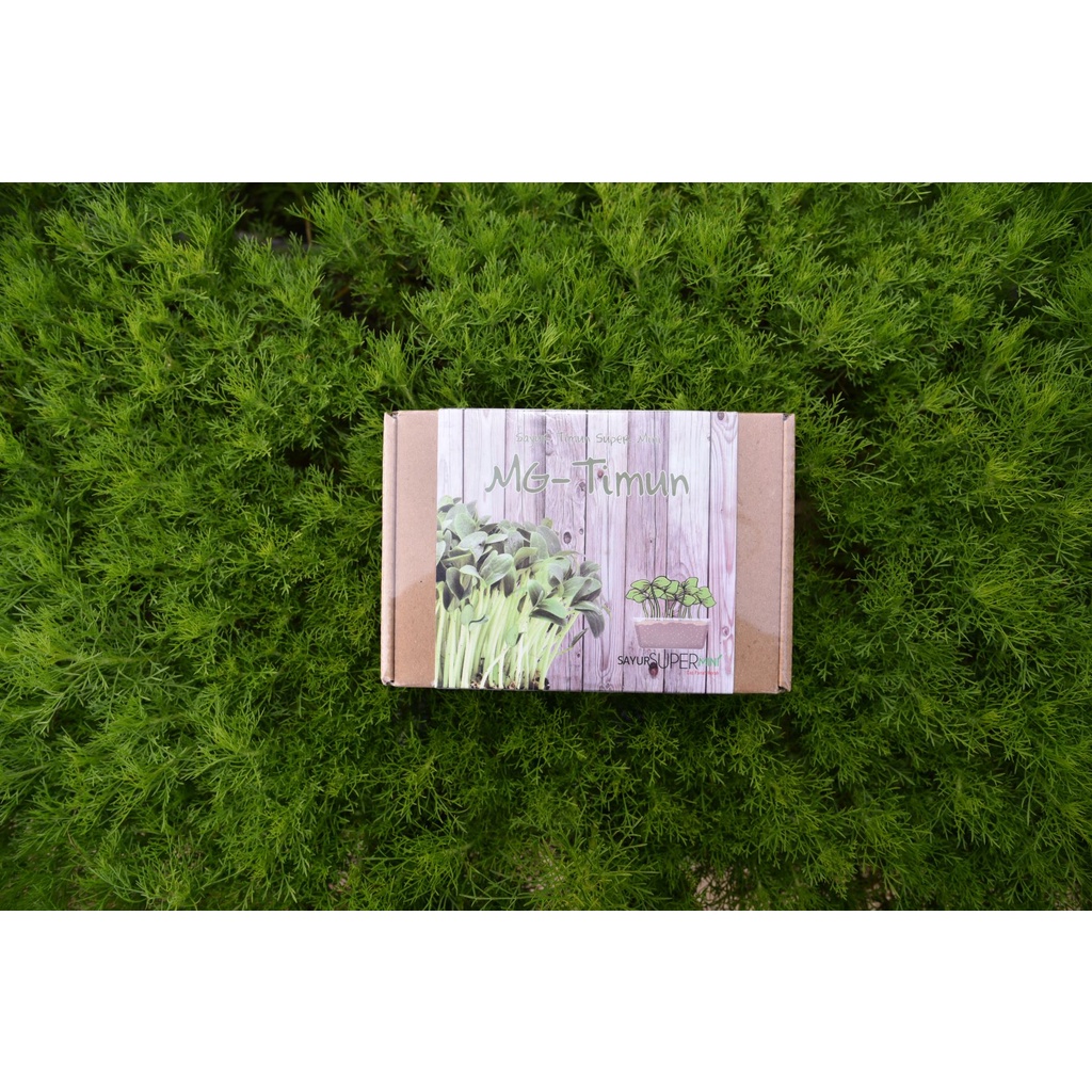 Sayur Super Mini Timun