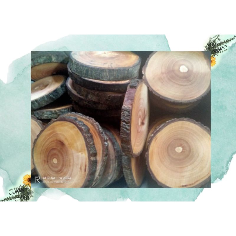 Wood Slice || Wood Coaster || Tatakan Kayu