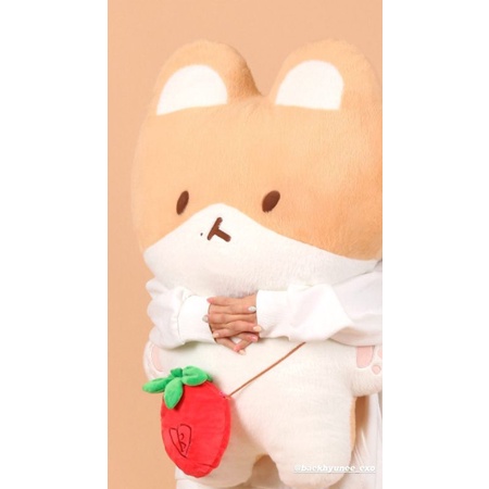 [Pre Order] DP Doll Boneka 80 CM Teolaegi