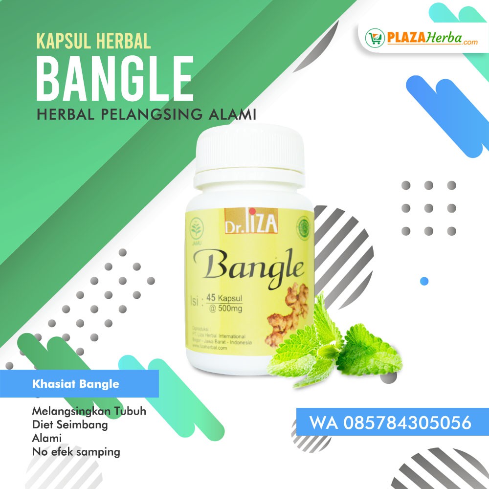 Obat Pelangsing Alami Menurunkan Berat Badan Bangle Zingiber Purpureum Roxb 45 Kapsul Bpom Shopee Indonesia