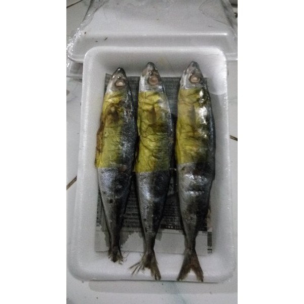 

pindang deleus | GRATIS minimal belanja 69rb CEK DESKRIPSI