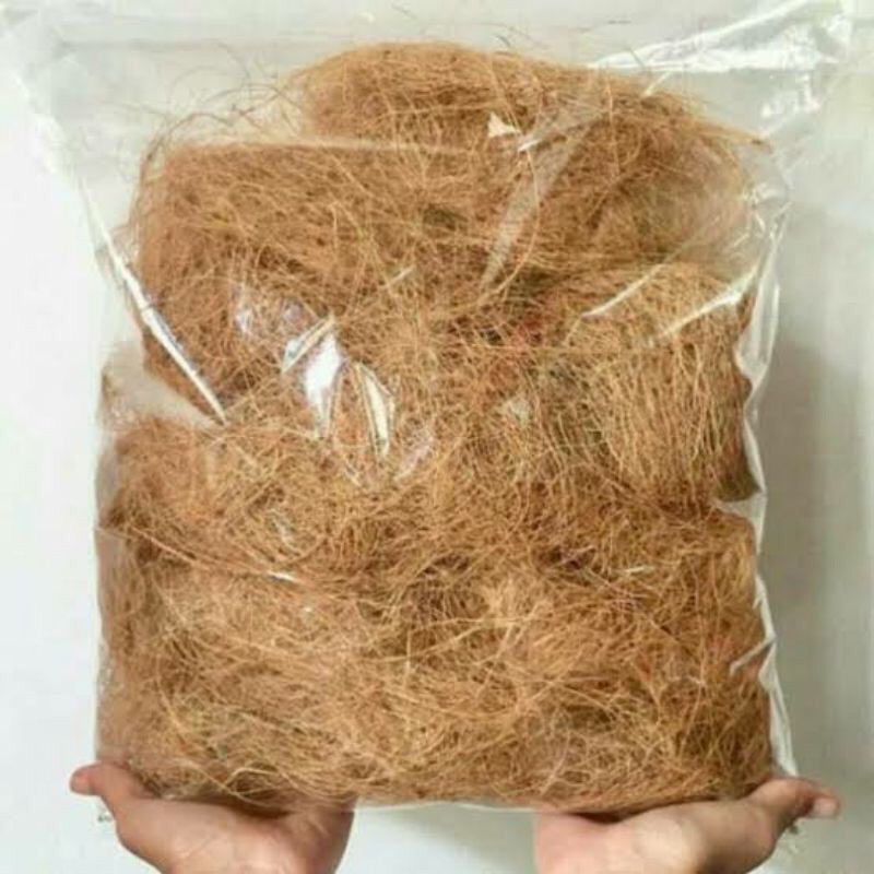 serabut kelapa ijuk kelapa