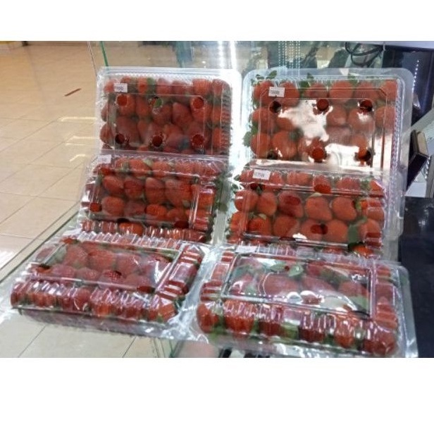 

STRAWBERRY/STROBERRY FRESH 500GR