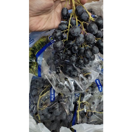 

Anggur black autumn royal
