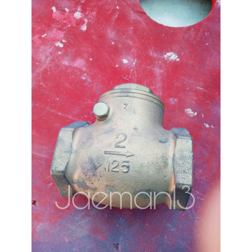 Swing Check Valve 2 inch Kitz 2/125