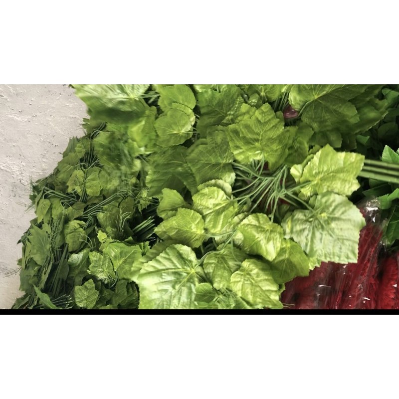 

Daun Anggur Premium Import