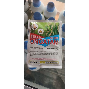 RACUN KEONG ONGATAN 100 GR