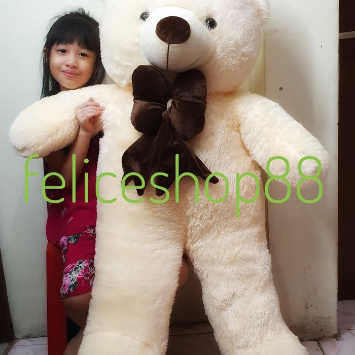 Boneka beruang teddy bear super besar jumbo 120cm