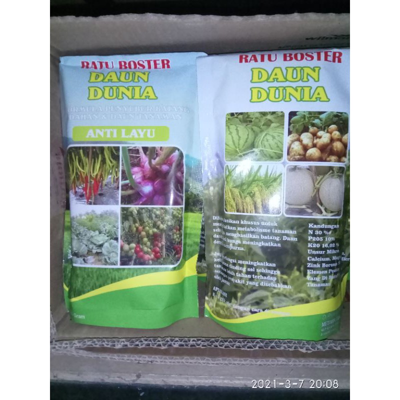

Boster Daun Dunia