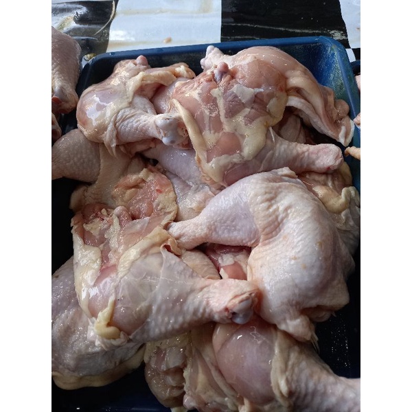 

PAHA AYAM / PAHA UTUH