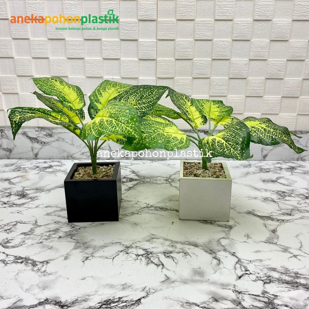 Pohon Daun Puring X9 Hijau Mini Plastik Tanaman Artificial Hiasan Palsu Dekorasi Imitasi Ruangan