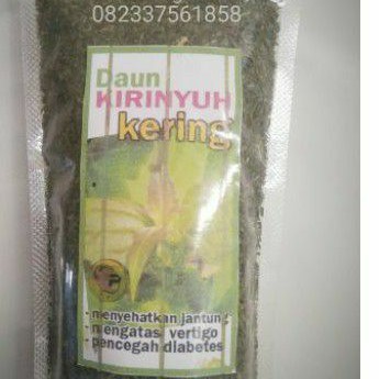 

DAUN KIRINYUH KERING - OBAT PENYAKIT VERTIGO