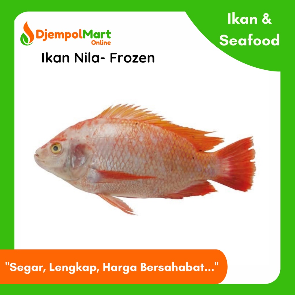 

Ikan Nila Frozen