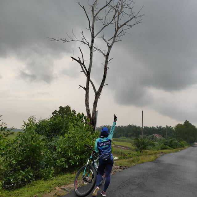 dianmulyasari