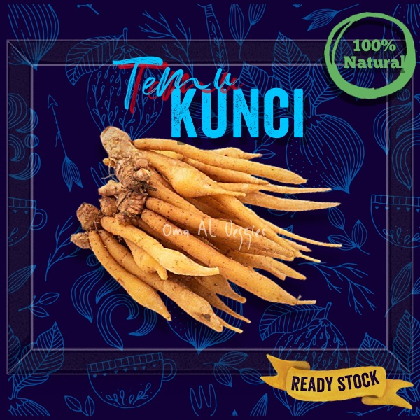 

TEMU KUNCI SEGAR / FRESH FINGERROOT PER 100 Gr