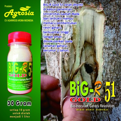 BiG-R Gold 51 - Inokulan Gubal Gaharu Aquilaria dan Gyrinops spp- 30 gram