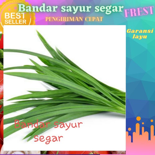 

Daun Pandan segar